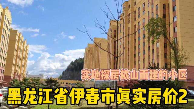 黑龙江省伊春市真实房价第二集,实地探房以买房者身份打电话谈价