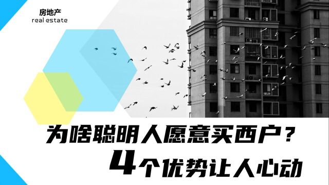 都说买东不买西,为啥聪明人愿意买西户?4个优势让人心动