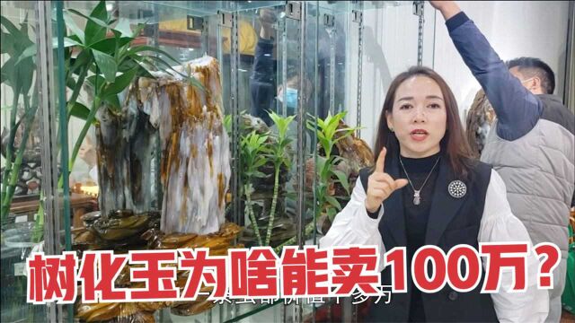 有虫的树化玉能卖100多万?燕紫快估不出价值,老铁们觉得值不值