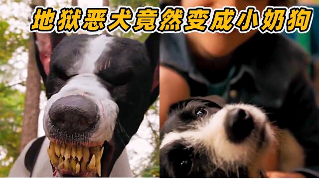 地狱恶犬到人间寻找主人,居然变成了萌宠,还被人类小孩撸了#电影种草指南大赛#