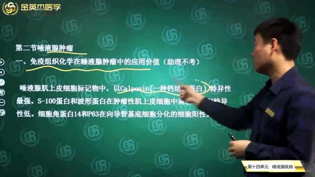 口腔组织病理学:唾液腺疾病唾液腺肿瘤的形成原因及其免疫组织化学在唾液腺肿瘤中的应用价值