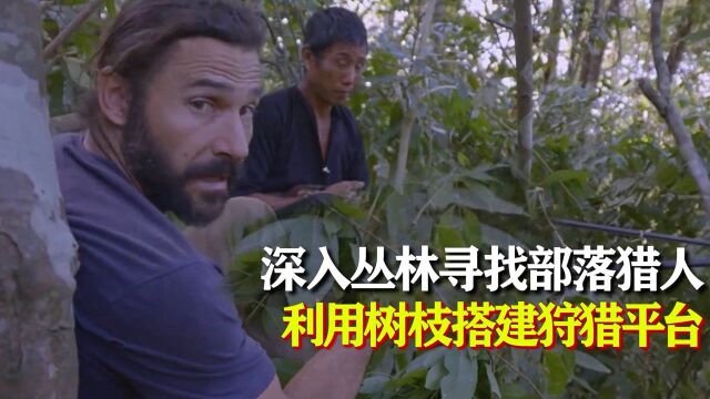 在丛林深处寻找部落猎人,利用树枝搭建狩猎平台,等待猎物出现