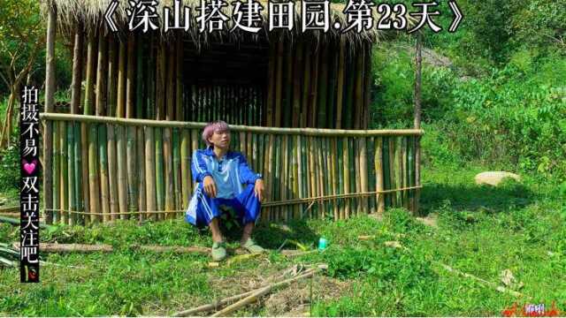 深山搭建田园第23天