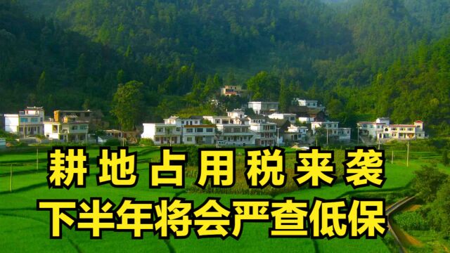 “耕地占用税”来袭?下半年将会严查低保,查什么?