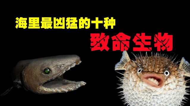 藏在海里的10种“凶猛生物”,真正的海上霸主究竟是谁?