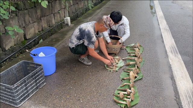 上次讲的鸡丝菇,拐哥拿到路边去卖,没想到比鳝鱼好卖多了!