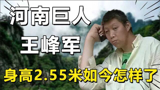 河南巨人王峰军:身高2.55米,18年前当特型演员,如今怎么样了?