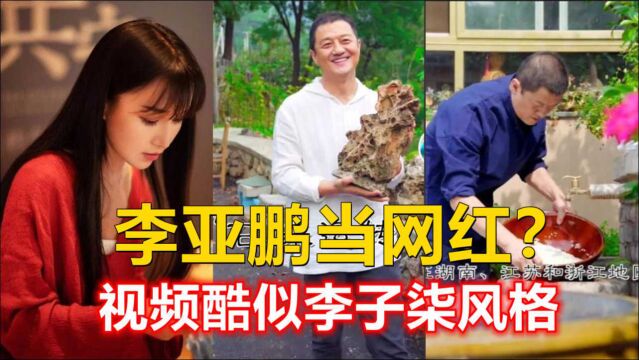 李亚鹏欠债后转当网红?视频酷似李子柒风格,否认挖走李子柒团队