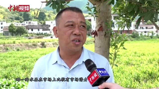 红色旅游带动“半条被子”故事发生地多元发展