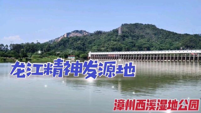 漫步漳州九龙江畔西溪公园,实地感受50多年前堵江抗旱的龙江精神