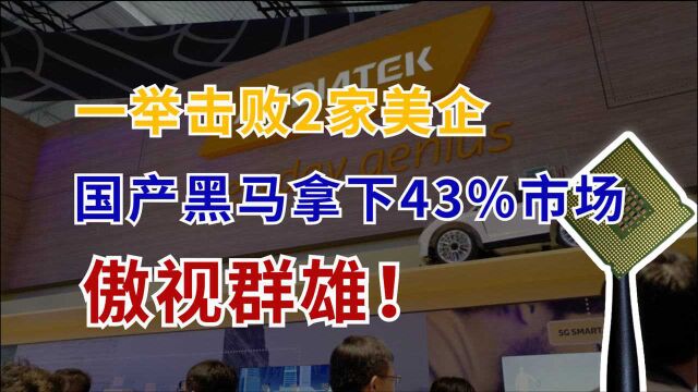 一举击败2家美企,国产芯片黑马问鼎全球第一,占比43%傲视群雄