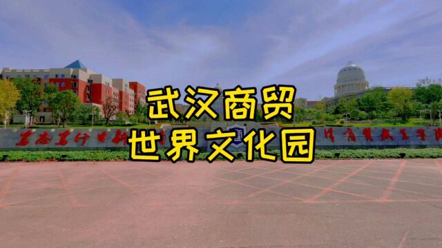 武汉商贸职业学院,凯旋门金字塔白宫等一应俱全,堪称世界文化园!在这里上学感觉像在外国留学