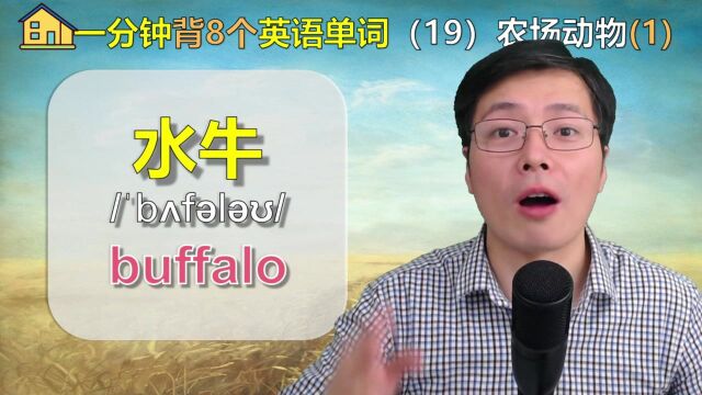 骡子,英语怎么说?一起学8个农场小动物单词,练发音技巧