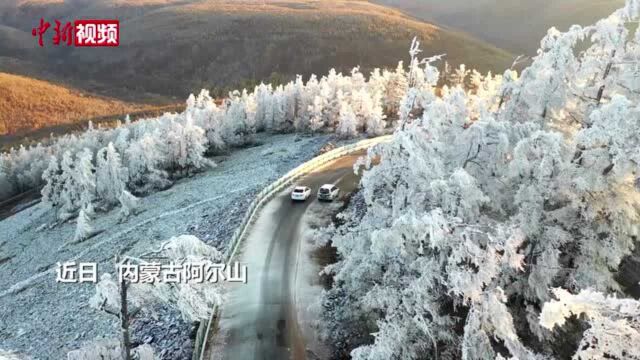 金秋逢初雪万里林海换“冬装”