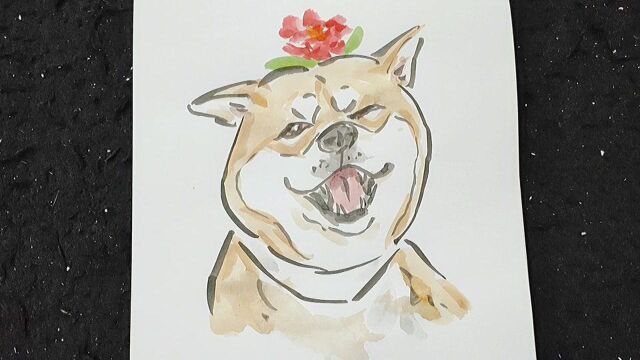 温泽辉老师教你画柴犬