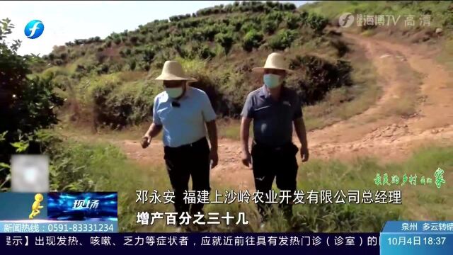 荒山变成“金”山 带你了解永春上沙村的蜕变记 快来看看吧!