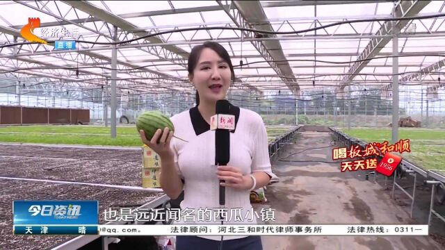 石家庄新乐:农旅结合别具风情的西瓜小镇