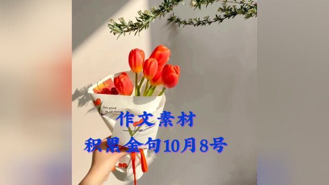 初中作文素材积累金句10.08斗气是无用的消耗,斗志才是成熟的表现