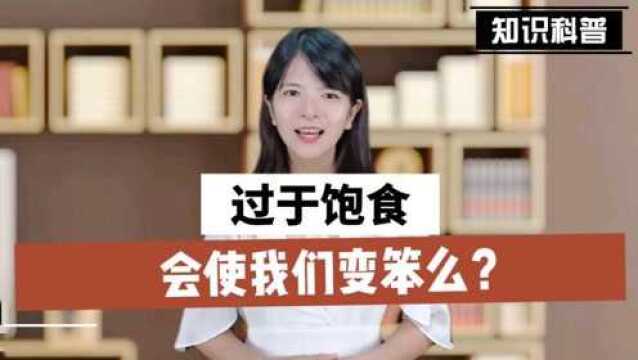 过于饱食,会让我们变笨吗?