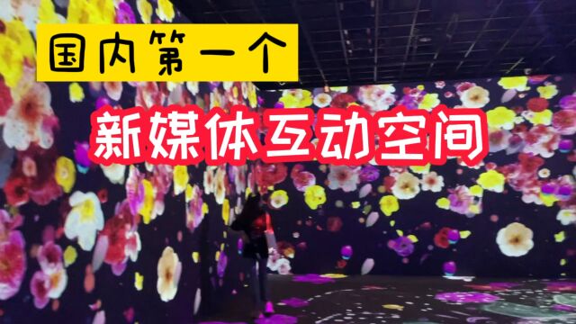 探访国内第一家新媒体沉浸式互动空间,感受数字艺术魅力,太漂亮了