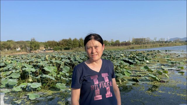 沪漂阿姨实探老家马鞍山最大人工湖,秀山湖占地面积大环境又好