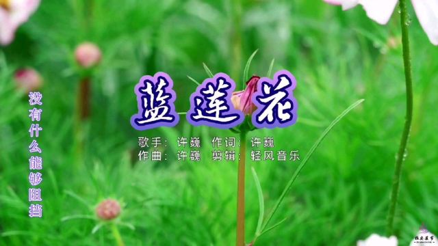 经典老歌《蓝莲花》没有什么能够阻挡,你对自由地向往