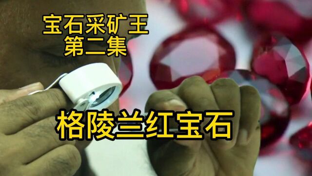 红宝石采矿王:几人挖到了红宝石,没想到是稀有的血色红宝石.