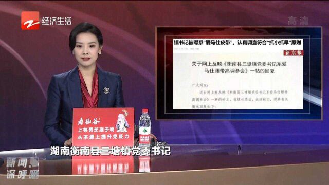 镇书记被曝系“爱马仕皮带”认真调查符合“抓小抓早”原则