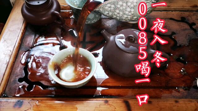 一夜就入冬,澜沧古茶0085太贵啦!