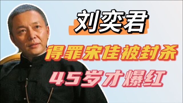 刘奕君:演20多年配角,因得罪大宋佳被封杀,年近50爆红大器晚成