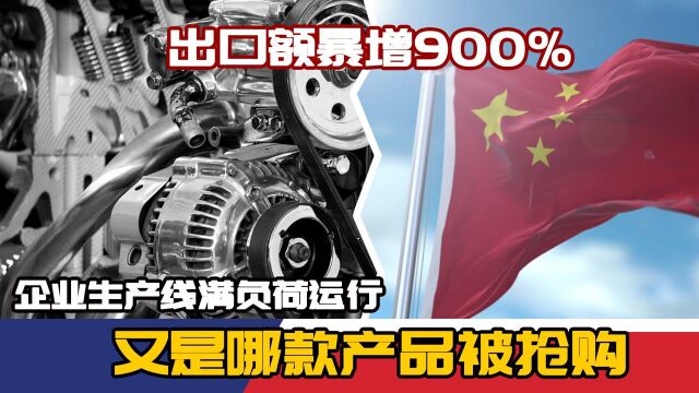 出口额暴增900%!企业生产线满负荷运行,又是哪款产品被抢购?