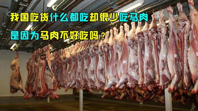 我国吃货几乎什么都吃,为何很少食用马肉,难道是因为它不好吃吗?