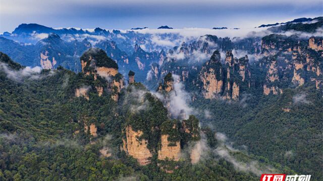 难逃这“美色”!阴天,张家界武陵源风景也美~