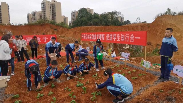 娄底这所学校建成劳动实践基地 学生有了“自留地”