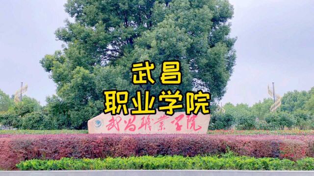 武昌职业学院,位于江夏五里界中洲大道,可以定向培养士官生