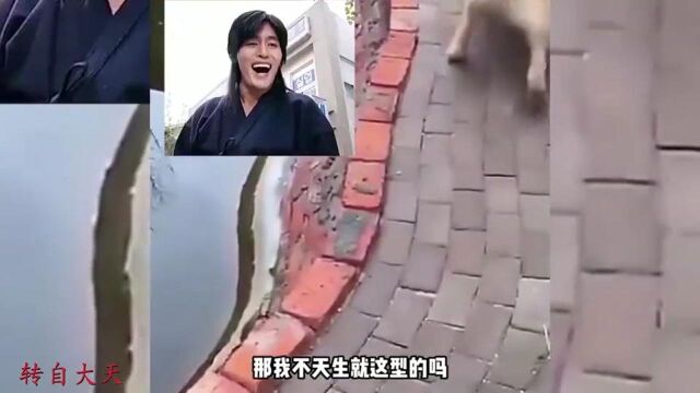 爆笑:收费很积极,服务秃噜皮