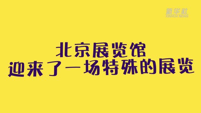 深秋,北京展览馆迎来了一场特殊的展览