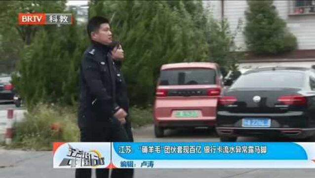 “薅羊毛”团伙套现百亿,银行卡流水异常露马脚,民警将其捣毁