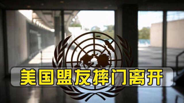 联合国出面也不行?美国盟友摔门离开,剩下各国代表无人吭声