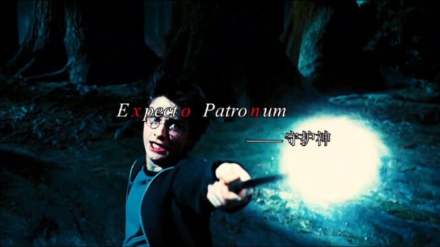 (呼神护卫)expecto patronum!