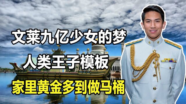 【2/3】文莱”高富帅王子“马丁,人类王子模板,坐金马桶养老虎做宠物