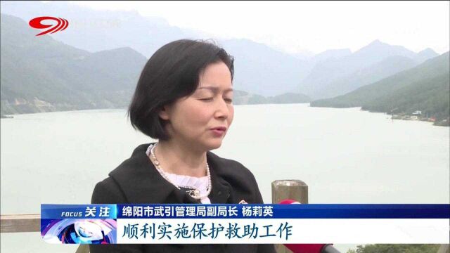 观雾山:1500株“草”,竟然牵动这么多人和事!