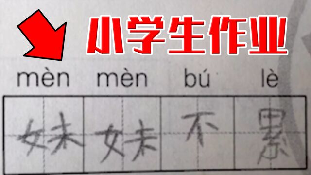 【小学生作业】超级硬核小学生作业!