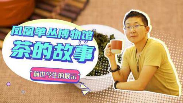 凤凰单丛博物馆,了解潮州茶叶的前世今生