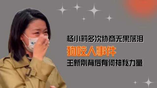 狗咬人事件再发酵!记者杨小莉无奈落泪,王新刚背后有何神秘力量