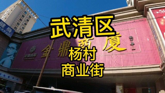 天津市武清区第《5》个视频,杨村商业街