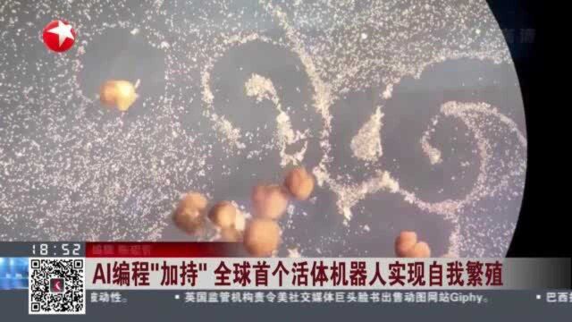 AI编程“加持” 全球首个活体机器人实现自我繁殖