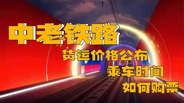 中老铁路货运价格公布!如何购票上车?发车时间?解答大家关心的问题