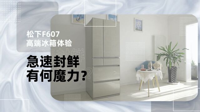 什么才是高端品质生活 松下日本全进口F607冰箱带你细细品味