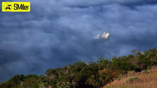 314《经历了不曾经历的狂风暴雨》埃德蒙ⷮŠ斯宾塞【为你读诗 314】